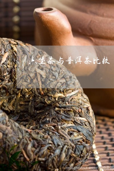 普洱茶与六宝茶哪个好一点