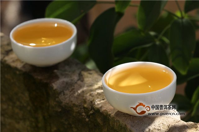 普洱茶：一种独特的茶种及其昂贵原因详解