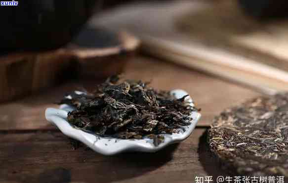 普洱茶是一个茶种吗？为什么这么贵？