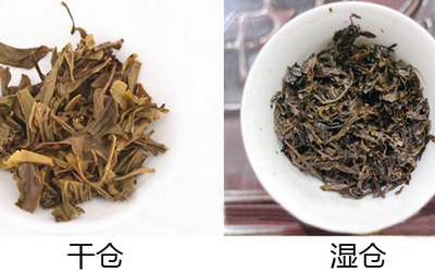 藤茶和普洱茶的区别，它们的功效以及是否属于同一种茶。