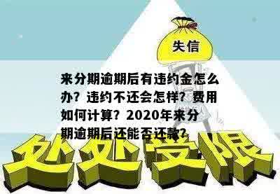 分期还款逾期全额偿还：违约处理及解决办法