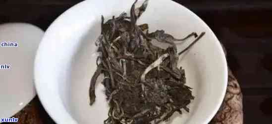 古树普洱茶的品鉴与饮用方法：从班章古树茶开始