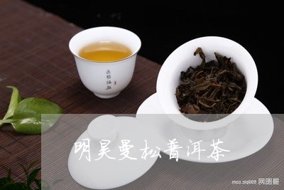 勐海明昊茶业普洱茶怎么样