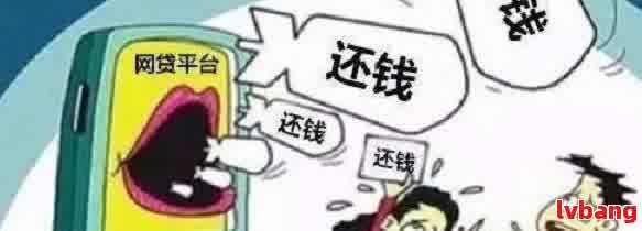 所有网贷被拒，无逾期记录，原因何在？