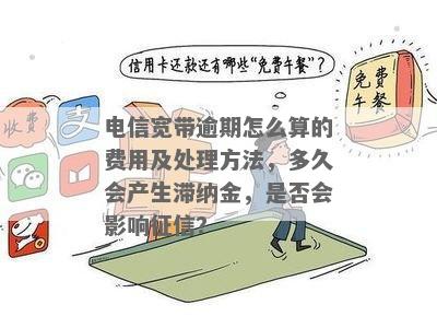 '电信费逾期未交：后果与处理方法'