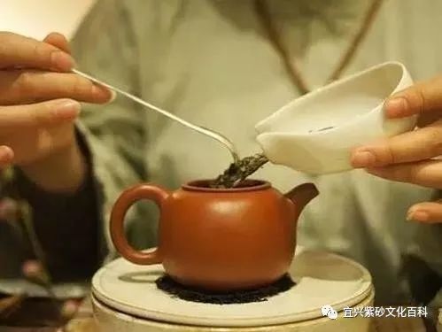 紫砂壶冲泡普洱茶的全方位指南：从选购到冲泡，让每一步都尽在掌握！