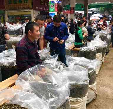 哪里买普洱茶好：质量有保障的地方推荐