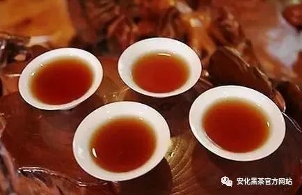 大化堂普洱茶怎么样好喝吗