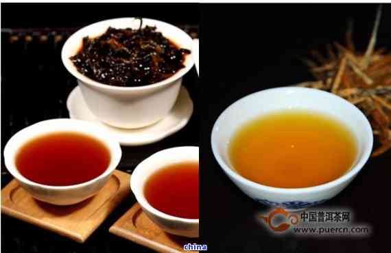 云南普洱茶：白茶与红茶的对比，哪个更适合您？