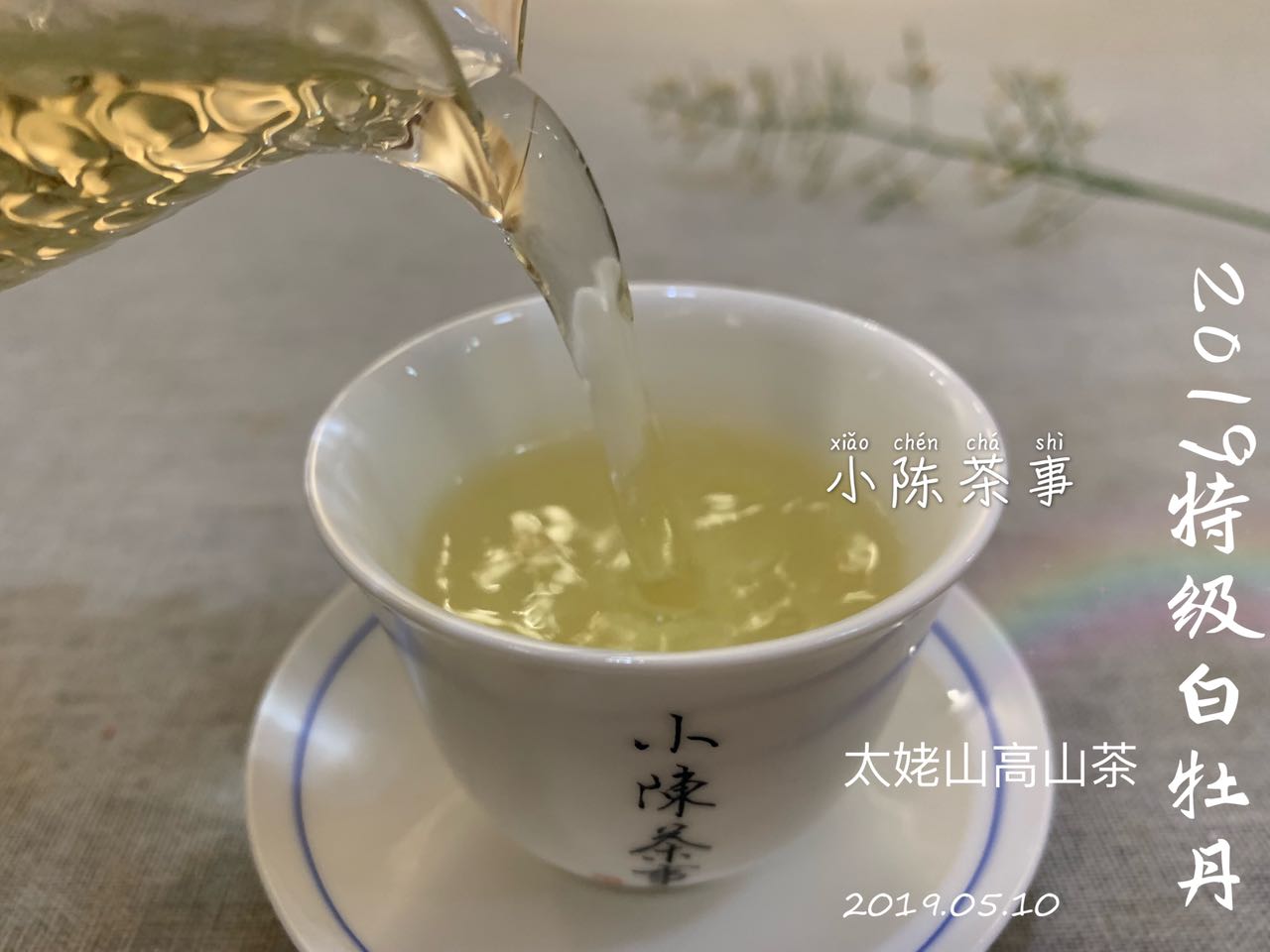 云南普洱茶：白茶与红茶的风味对比，哪种更适合您的口味？