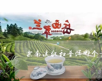 云南普洱茶白的好还是红的