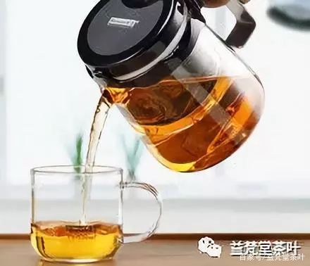 怎样用蒸茶器蒸普洱茶好喝