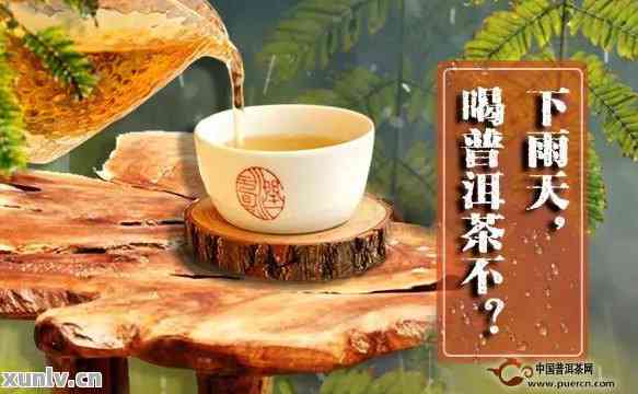 下雨天陈皮普洱茶是否适宜饮用？原因解析及其它相关问题探讨