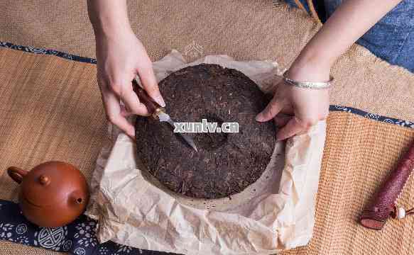 自家普洱生茶压饼制作技巧：如何让饼子更香醇