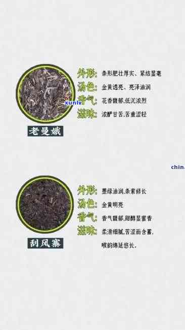 班章、冰岛和易武茶的特性比较：深入了解这三种茶叶的区别与优劣