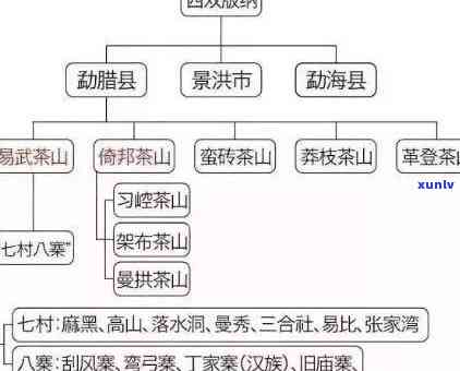 冰岛与易武：两大茶产区的特色与风味探析