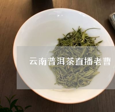 直播中老期普洱茶是真的吗