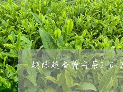 05年越陈越香普洱茶：年份、品质与价格全面解析，助您挑选最适合的普洱茶