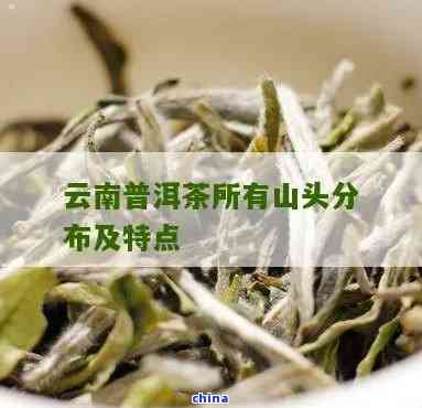 云南普洱茶：哪个山头的糯香更令人醉？