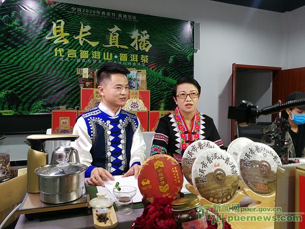 灵子普洱茶直播间是正品吗