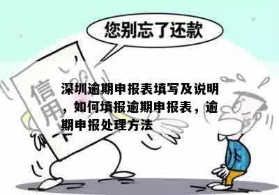 逾期申报带什么资料到大厅申报