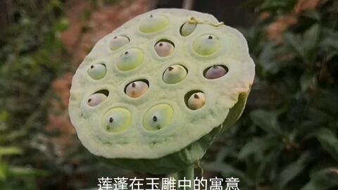 荷叶莲子小脆玉童子：寓意与特点解析