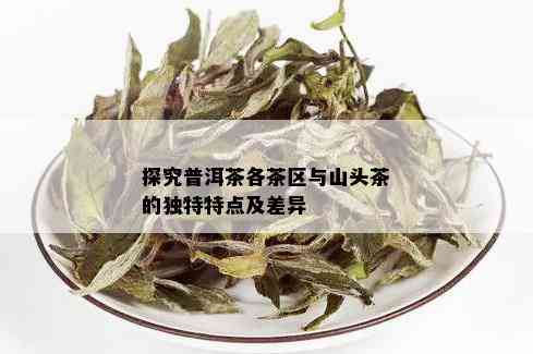 不同山头普洱茶的口感特征