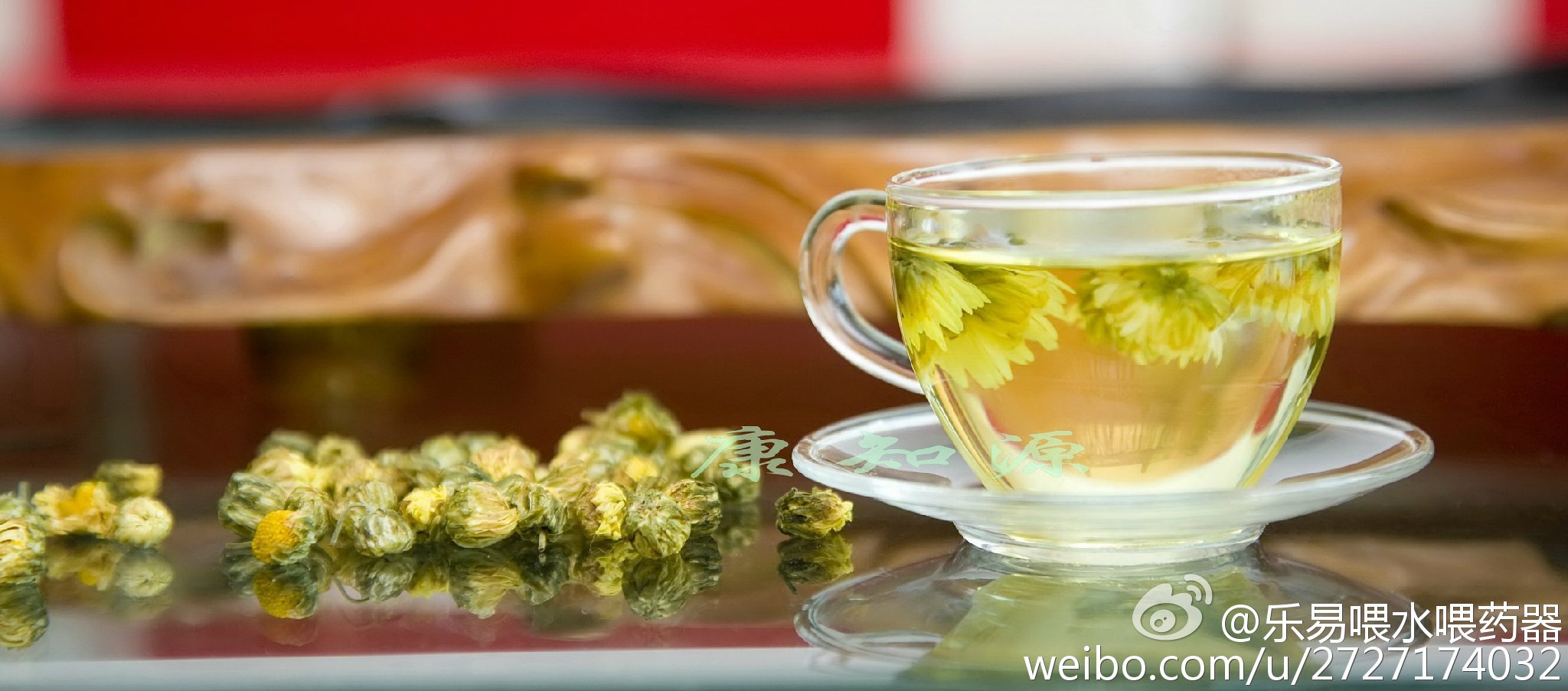 孕妇可以喝菊花茶普洱茶吗