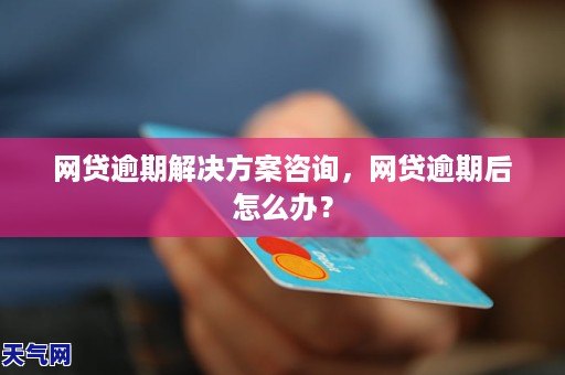 网贷逾期后无法查询？这里有解决方案！