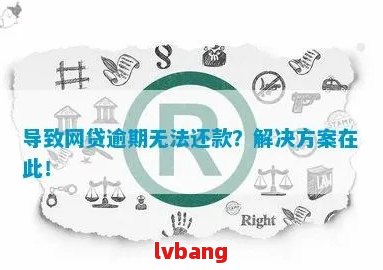 网贷逾期了查不了怎么办？解决方法一览