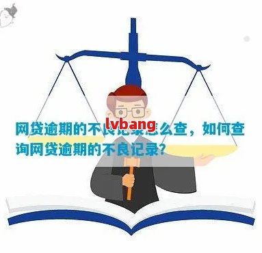 网贷逾期了查不了怎么办？解决方法一览