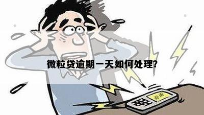 微粒贷还款逾期一天，我应该怎么处理？