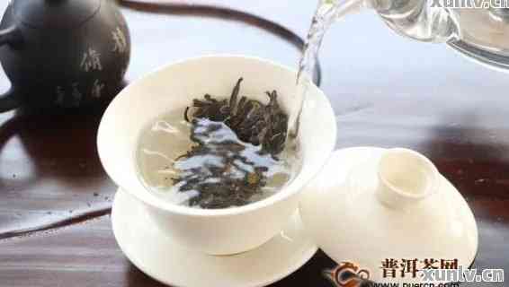 普洱茶泡法指南：一茶匙茶叶适合多少茶杯，冲泡几次才？