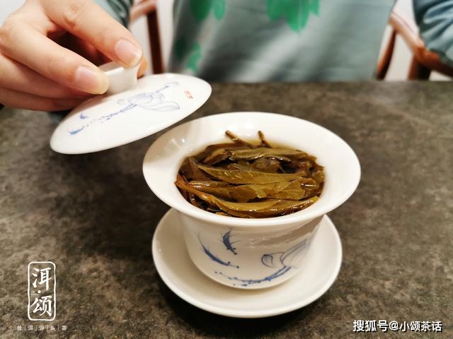 普洱茶泡法指南：一茶匙茶叶适合多少茶杯，冲泡几次才？