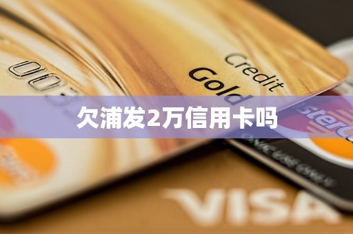 浦发信用卡逾期一年8000元：可能面临的法律后果及解决方法全面解析