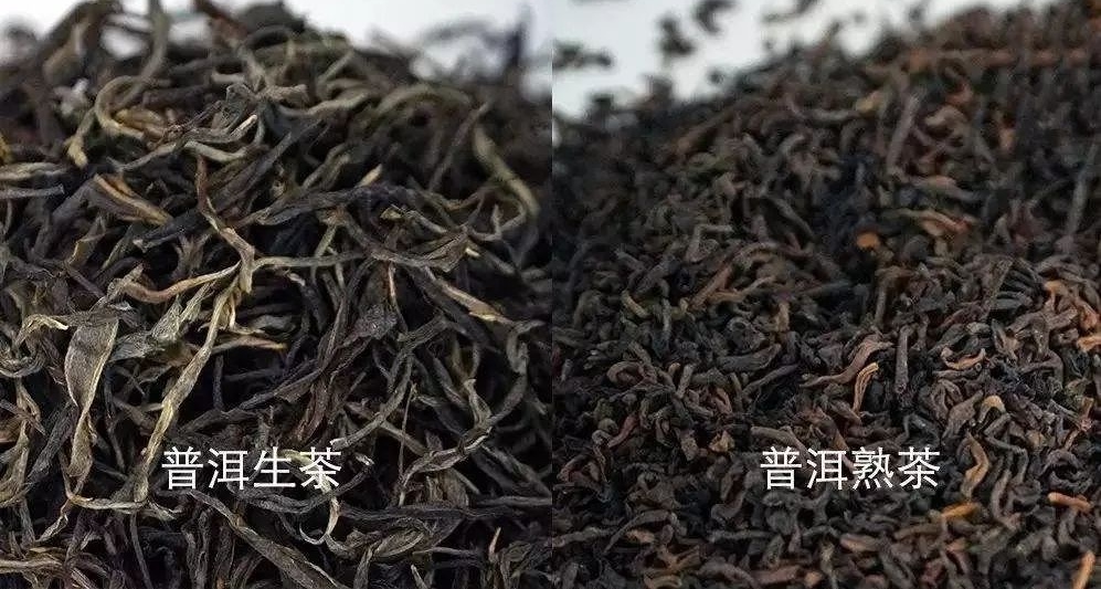 普洱茶：一种颜色的故事，它如何展现的味道？