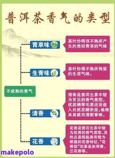 从原料到工艺：如何挑选口感醇厚、香气浓的普洱茶？一次全面解析