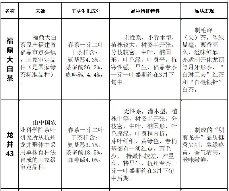 新探究碧落春茶类归属及其与绿茶的优劣比较