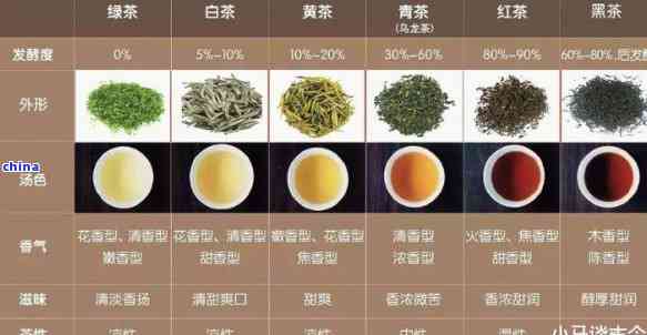 新探究碧落春茶类归属及其与绿茶的优劣比较