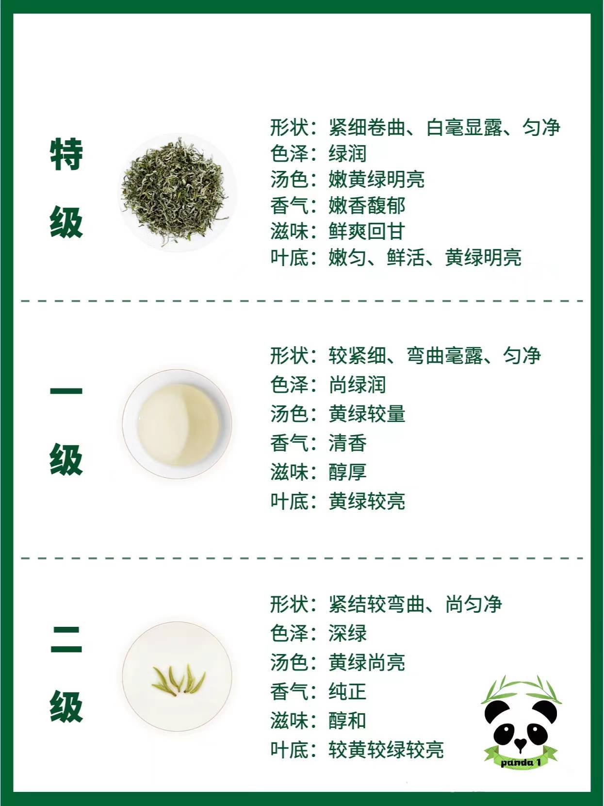 新探究碧落春茶类归属及其与绿茶的优劣比较