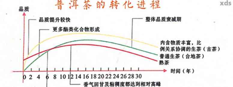 新探究普洱茶回慢的原因及其与哪些因素相关