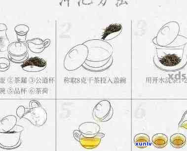 关于冲泡普洱茶的几点看法