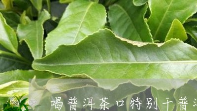 饮完普洱茶口干口苦正常吗