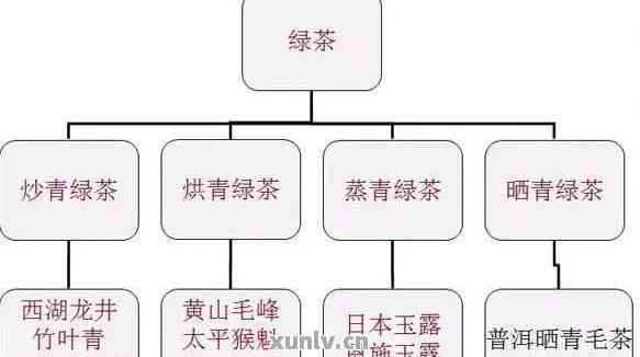 普洱茶主营类型分类有哪些