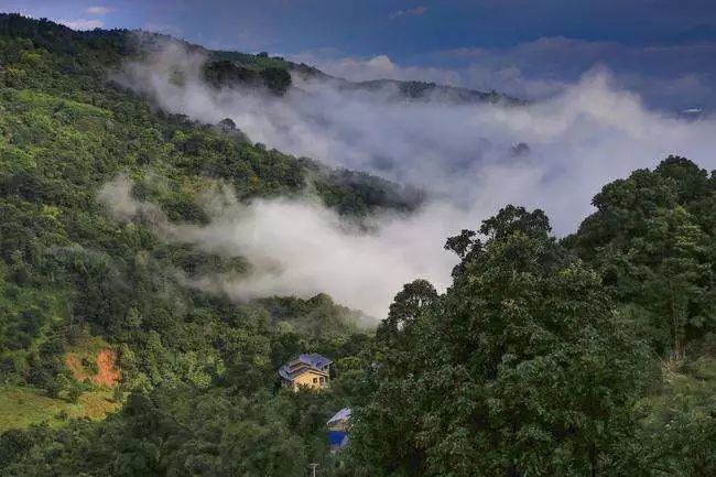 普洱茶勐海味特点介绍大全