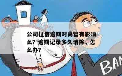 分公司负责人影响总公司吗？如何应对？