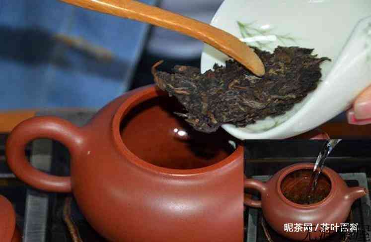 普洱茶怎么用茶壶泡茶好喝