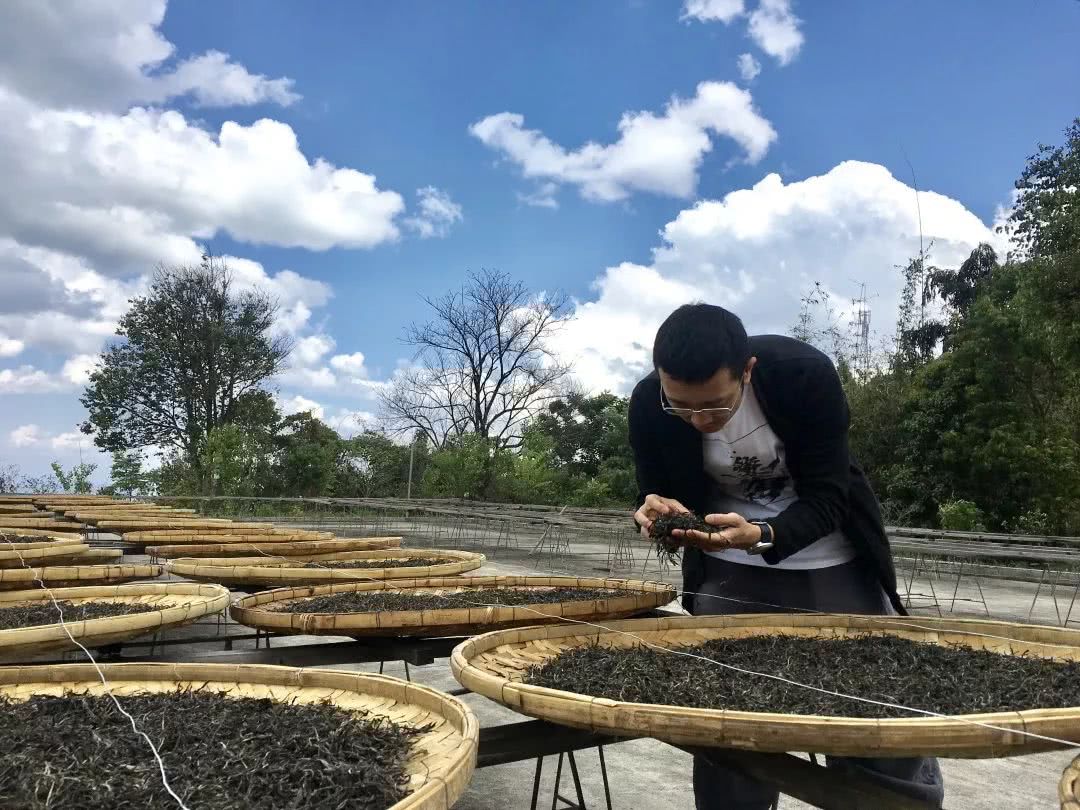 怎么制作去除普洱茶涩味儿