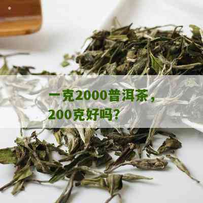 普洱茶200克贵吗多少钱