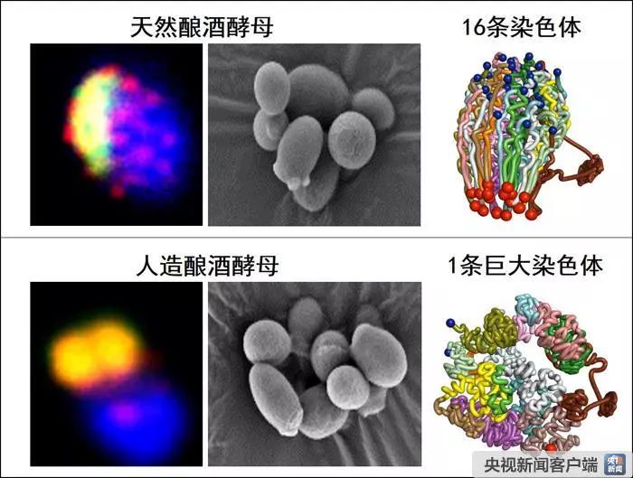 新探究碧玉的来源：天然形成还是实验室制造？